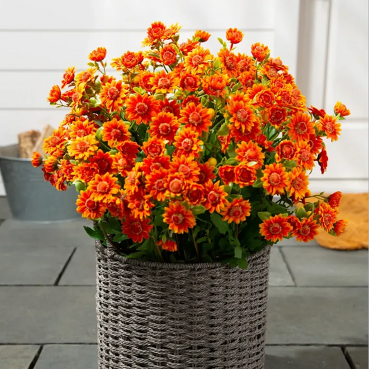 🔥Hot Sale 🎉Artificial Outdoor Sunset Mums Flowers - Waterproof, Windproof