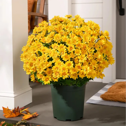 🔥Hot Sale 🎉Artificial Outdoor Sunset Mums Flowers - Waterproof, Windproof